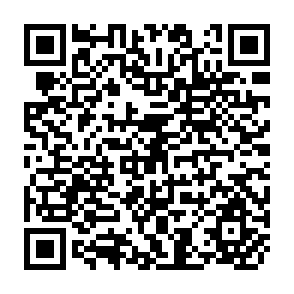 QR Code for World Grain Trade Statistics