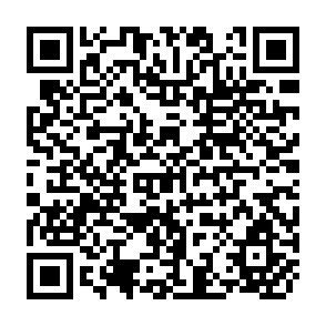 QR Code for World Grain Trade Statistics