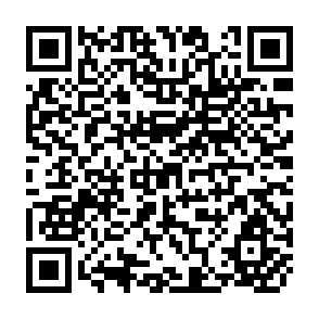 QR Code for World Grain Trade Statistics