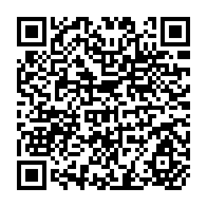 QR Code for World Grain Trade Statistics