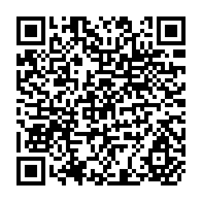QR Code for World Grain Trade Statistics