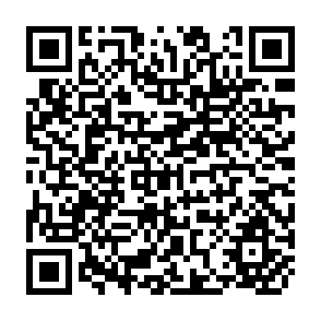 QR Code for The Affluent Society