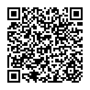QR Code for Educational and Cultural Rights of the Minorities