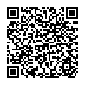 QR Code for Economic Decision- Making and Its Effect on Development Planning in Africa South of the Sahara