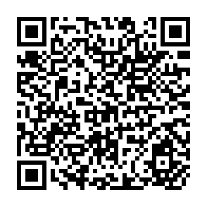 QR Code for Survey of Export Markets for Sorghum