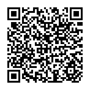 QR Code for The New Rice in the Philippines