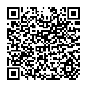 QR Code for The New Rice in the Philippines