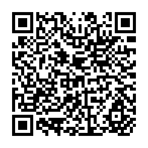 QR Code for The Prospects for Collective Farming