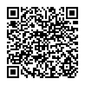 QR Code for Fiscal Policy and Agricultural Employment in Developing Countries. " F.A.O. Monthly Bulletin of Agricultural Economics and Statistics Vol: 20 No: 3