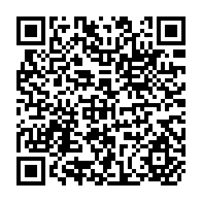 QR Code for The Arms Trade with the Third World