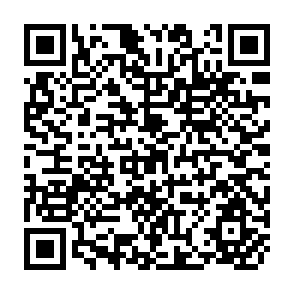 QR Code for The Maghreb in the Modern World: Algeia, Tunisia, Morocco