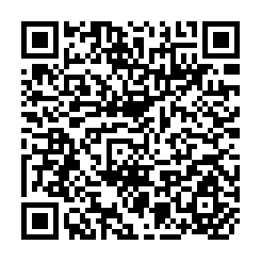QR Code for A Report on a Survey of the Resources of the Kelani- Aruvi Area,Ceylon