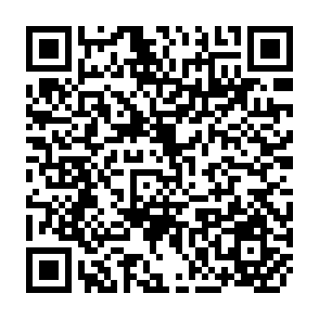 QR Code for A Report on a Survey of the Resources of the Kelani- Aruvi Area,Ceylon
