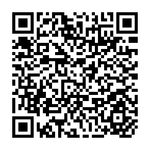 QR Code for A Management Inventory  of the Kanneliya-Nakiyadeniya Dediyagala Forest Area,Ceylon