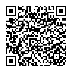 QR Code for A Management Inventory  of the Kanneliya-Nakiyadeniya Dediyagala Forest Area,Ceylon