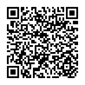 QR Code for A Forest Inventry of the Kumbukkan Forest Reserve, Ceylon