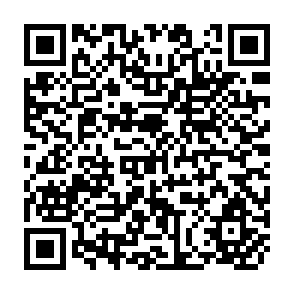 QR Code for Statistics ; An Introductory Analysis