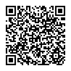 QR Code for Value and Price in the Labour-Surplus Economy