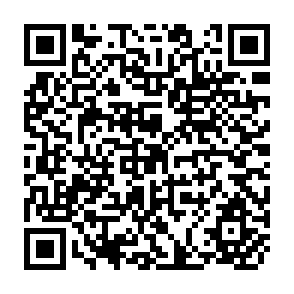 QR Code for Education and Political Development