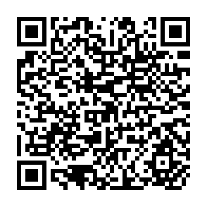 QR Code for Proceedings: Planning and Organization Meeting Fertilizer I.N.P.U.T.S. Project