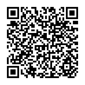 QR Code for Dissent on Development Studies and Debates in Development Economics