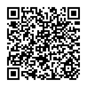 QR Code for China and India: Economic Performance and Prospects