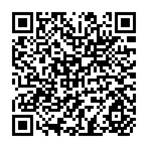 QR Code for China and India: Economic Performance and Prospects