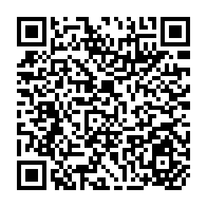 QR Code for Intrim Report on Integrated Agricultural Development Projects in Canal Irrigated Areas