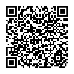 QR Code for The Vista of American Labor