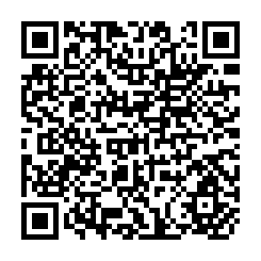 QR Code for The Voice of America Forum Lectures