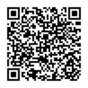 QR Code for Economics of Development in Village India