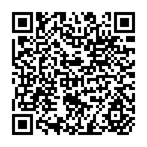 QR Code for Economics of development in village india