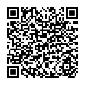 QR Code for Economics,Peace & Laughter