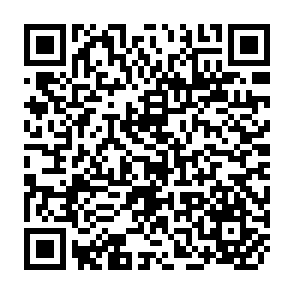 QR Code for Working Class Youth Culture
