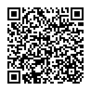 QR Code for Phenomenology,Language and Sociology