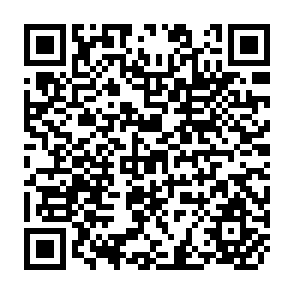 QR Code for Development Assistance