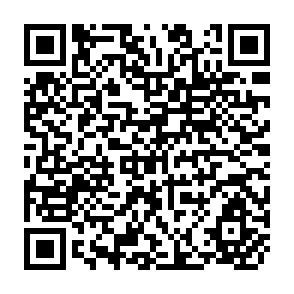 QR Code for Methods of Project Analysis: A Review