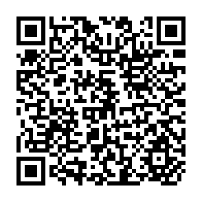 QR Code for Report of the Second Session of the Panel of Experts on Land Tenure and Settlement