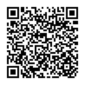 QR Code for The Practice of Local-Level Planing