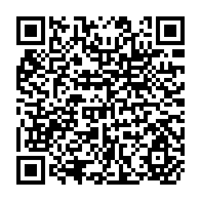 QR Code for Company Law