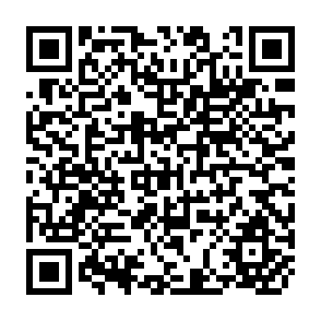 QR Code for Business Finance