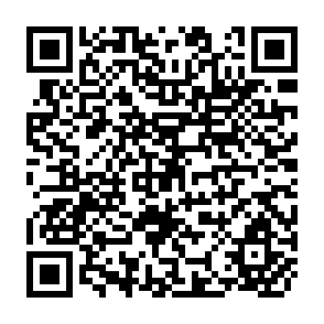 QR Code for A world Divided
