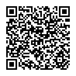 QR Code for Public Policies Toward Business