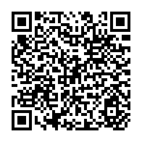 QR Code for The Economic Development of the Third World Since 1900