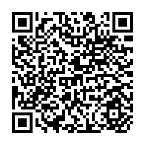 QR Code for The Energy Crisis- World Struggle for Power and Wealth
