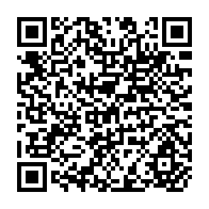 QR Code for Poverty and Income Distribution in India