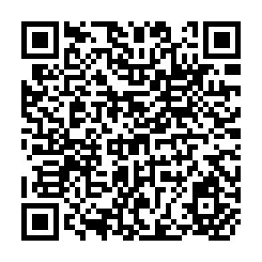 QR Code for Investment Patterns and Economic Growth In Jamaica: 1981-1988