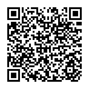 QR Code for American Capitalism