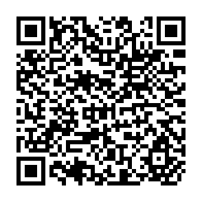 QR Code for Report of the report group meeting on agrarian reform and rural development