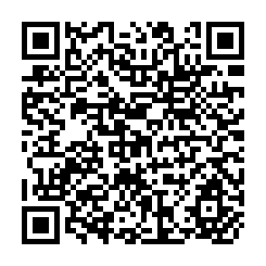 QR Code for Report of the First Meeting of the Panel of Experts on Land Tenure and Settlement
